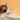 Distributeur d'eau pour chat