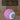 S4746ead3da0a4b84804ae88a47a4b958u