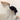 Sf1e9ae205dcf40d7a01e5d2619df0617S