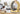 tapis de course 110 cm pour chats