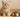 Alimentation du chaton