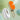S2b2c529d4c5045e39d5dafea5a763810I