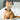 S81600ca1b91445308a3e9cd15e586711F