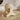 Se97fe8e05ff34444816bac8a8ff8e644p